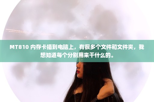 MT810 内存卡插到电脑上，有很多个文件和文件夹，我想知道每个分别用来干什么的。