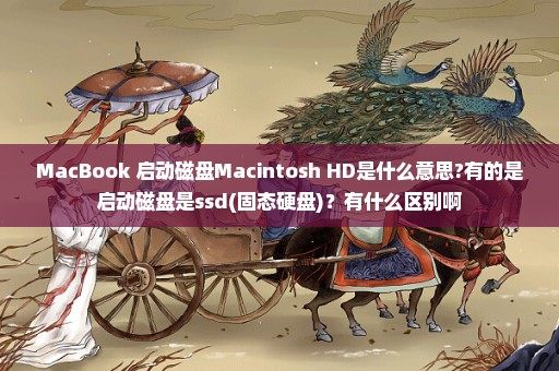 MacBook 启动磁盘Macintosh HD是什么意思?有的是启动磁盘是ssd(固态硬盘)？有什么区别啊