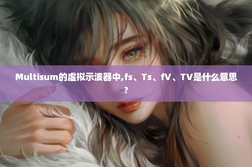 Multisum的虚拟示波器中,fs、Ts、fV、TV是什么意思?