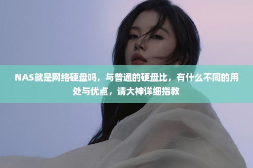NAS就是网络硬盘吗，与普通的硬盘比，有什么不同的用处与优点，请大神详细指教