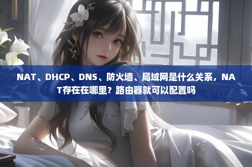 NAT、DHCP、DNS、防火墙、局域网是什么关系，NAT存在在哪里？路由器就可以配置吗