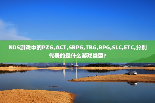 NDS游戏中的PZG,ACT,SRPG,TBG,RPG,SLC,ETC,分别代表的是什么游戏类型？