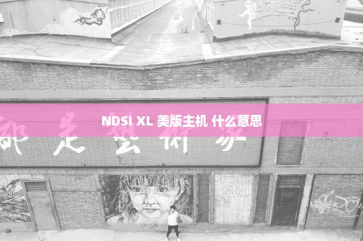 NDSI XL 美版主机 什么意思