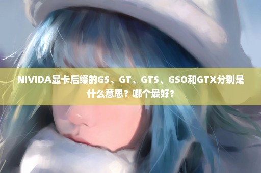 NIVIDA显卡后缀的GS、GT、GTS、GSO和GTX分别是什么意思？哪个最好？