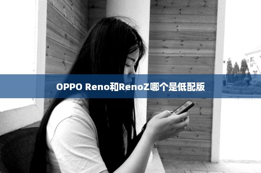 OPPO Reno和RenoZ哪个是低配版