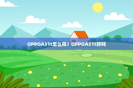 OPPOA31t怎么样？OPPOA31t好吗
