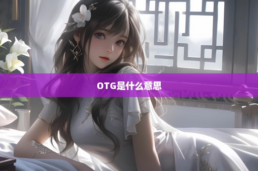 OTG是什么意思