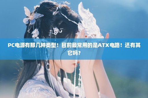 PC电源有那几种类型！目前最常用的是ATX电路！还有其它吗？
