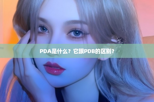 PDA是什么？它跟PDB的区别？
