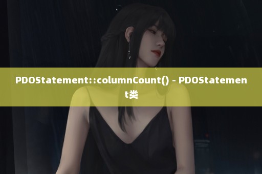 PDOStatement::columnCount() - PDOStatement类