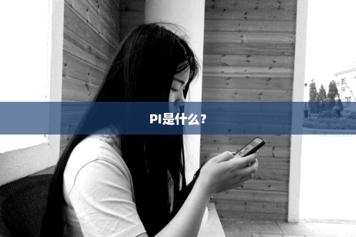 PI是什么？