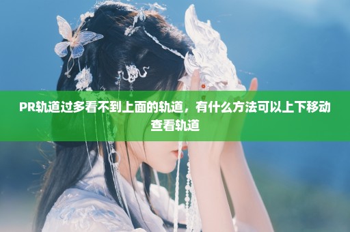 PR轨道过多看不到上面的轨道，有什么方法可以上下移动查看轨道