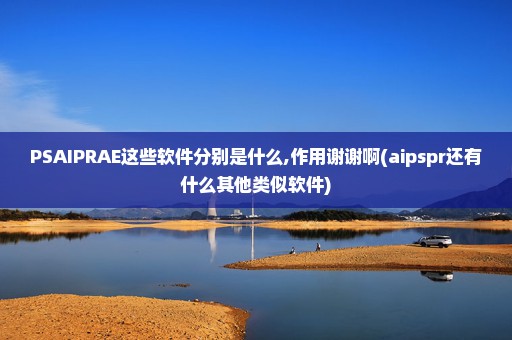 PSAIPRAE这些软件分别是什么,作用谢谢啊(aipspr还有什么其他类似软件)