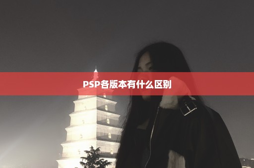 PSP各版本有什么区别