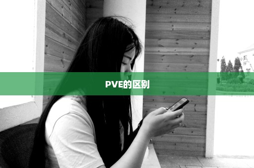 PVE的区别