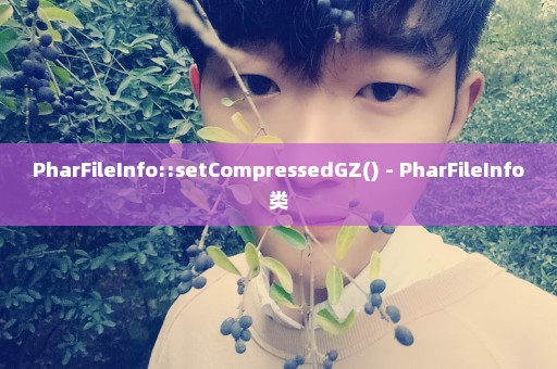 PharFileInfo::setCompressedGZ() - PharFileInfo类