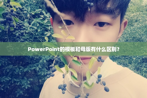 PowerPoint的模板和母版有什么区别？