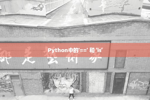 Python中的'==' 和 'is'
