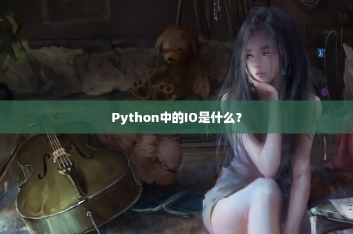Python中的IO是什么？