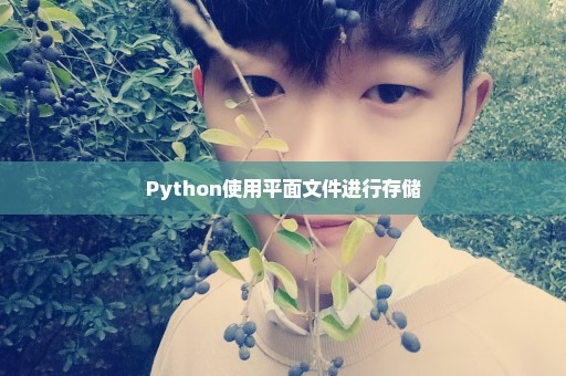 Python使用平面文件进行存储