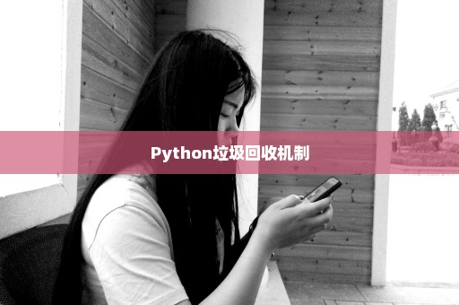 Python垃圾回收机制