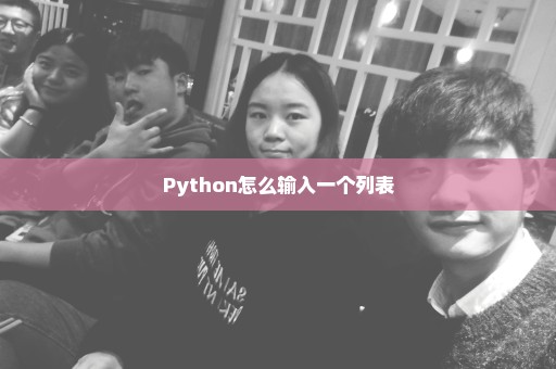 Python怎么输入一个列表
