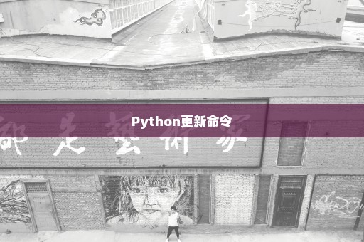 Python更新命令