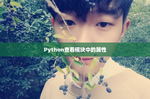 Python查看模块中的属性
