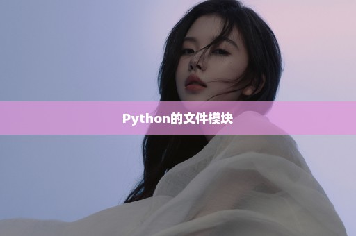 Python的文件模块