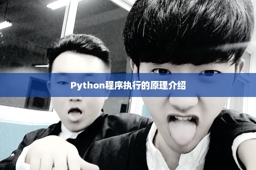 Python程序执行的原理介绍