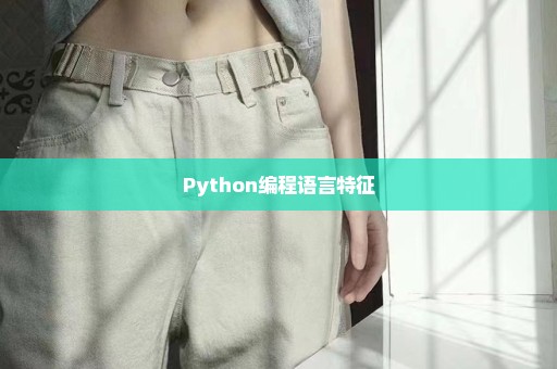 Python编程语言特征