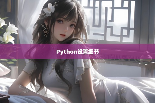 Python设置细节