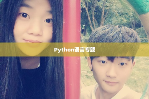 Python语言专题