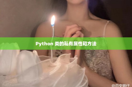 Python 类的私有属性和方法