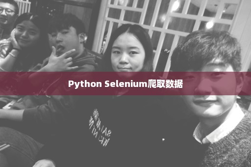 Python Selenium爬取数据
