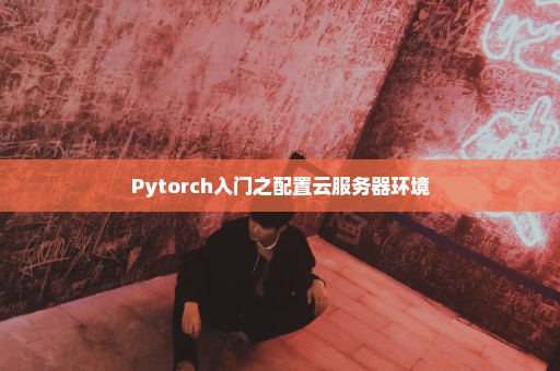 Pytorch入门之配置云服务器环境