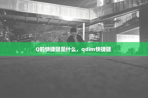 Q的快捷键是什么，qdim快捷键 