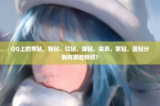 QQ上的黄钻，粉钻，红钻，绿钻，会员，紫钻，蓝钻分别有哪些特权？