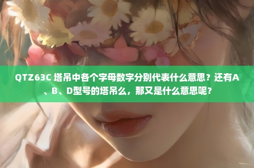 QTZ63C 塔吊中各个字母数字分别代表什么意思？还有A、B、D型号的塔吊么，那又是什么意思呢？