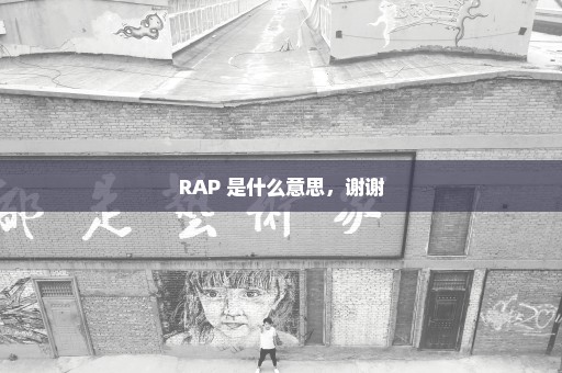 RAP 是什么意思，谢谢