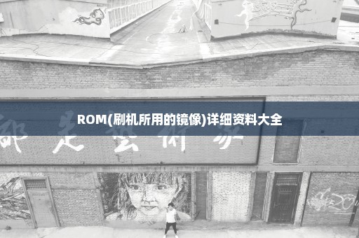 ROM(刷机所用的镜像)详细资料大全