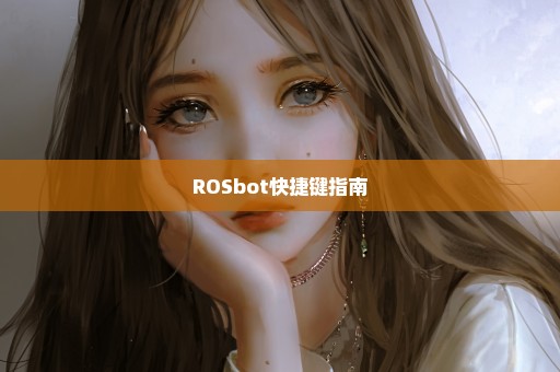 ROSbot快捷键指南