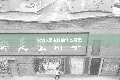 RYJS是电线的什么意思