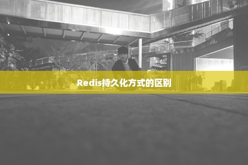 Redis持久化方式的区别