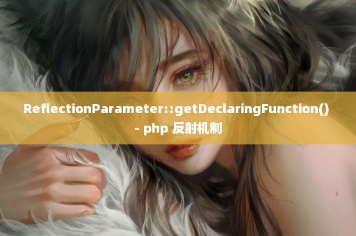 ReflectionParameter::getDeclaringFunction() - php 反射机制