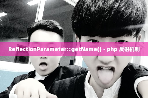ReflectionParameter::getName() - php 反射机制