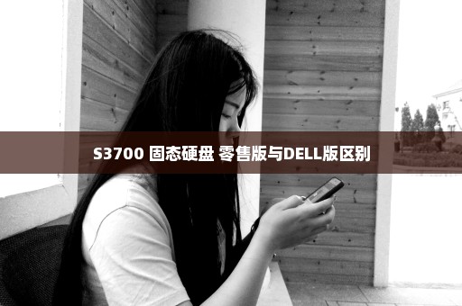 S3700 固态硬盘 零售版与DELL版区别