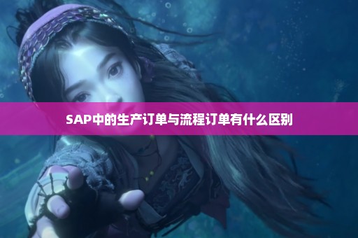 SAP中的生产订单与流程订单有什么区别
