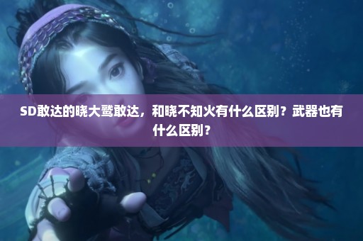 SD敢达的晓大鹫敢达，和晓不知火有什么区别？武器也有什么区别？