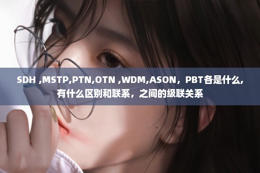 SDH ,MSTP,PTN,OTN ,WDM,ASON，PBT各是什么,有什么区别和联系，之间的级联关系